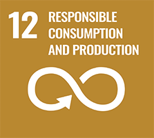 12. RESPONSIBLE CONSUMPTION & PRODUCTION