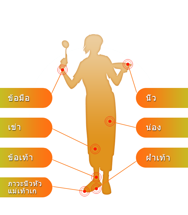 人体図