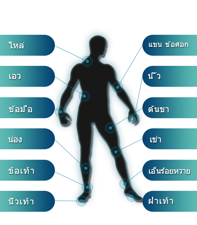 人体図